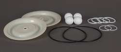 DAYTON 22A623 PUMP REPAIR KIT FLUID 11/16 IN.