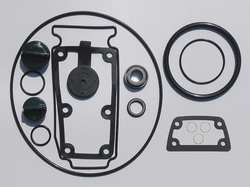 GRAINGER GLOBAL SOURCING 24D050 SEAL KIT BUNA FOR 11G237