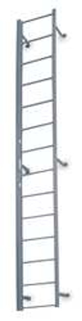 COTTERMAN F15S C1 FIXED LADDER 14 FT 3 IN H STEEL