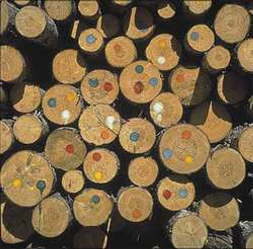 NELSON PAINT FAC APPLICATOR FELT