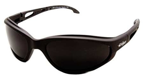 EDGE EYEWEAR TSM216 SFTY GLASS BLCK/SMOKE LENS    