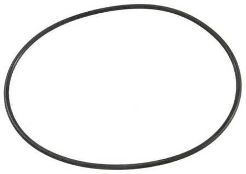 DAYTON 200800180 PUMP CASING O-RING