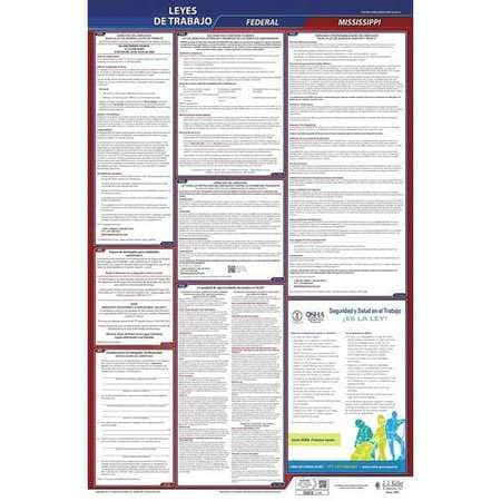 JJ KELLER 400-MS-1 LABOR LAW POSTER FED/STA MS SP 26INH 1YR