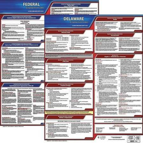 JJ KELLER 100-DE-3 LABORLAW POSTER FED/STA DE ENG 20INH 3YR