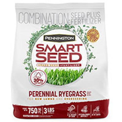 PENNINGTON SEED 100086853 SEED PERENNIAL RYE BLEND 3LB  