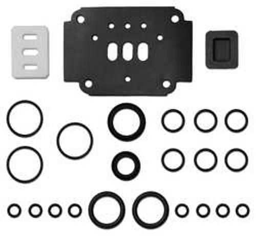 STANDARD PUMP 200-002 AIR VALVE KIT REBUILD 1IN.