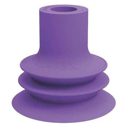VALUE LINE VL40BX SUCTION CUP PURPLE 36.5MM H PK5