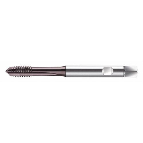 WALTER PROTOTYP S2021302-M2.5 SPIRAL POINT TAP M2.5X0.45 HSS