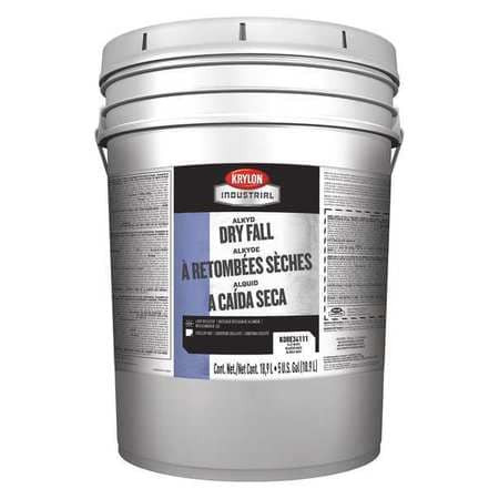 KRYLON PRODUCTS K00E34111-20 ALKYD DRY FALL  FLAT  WHITE