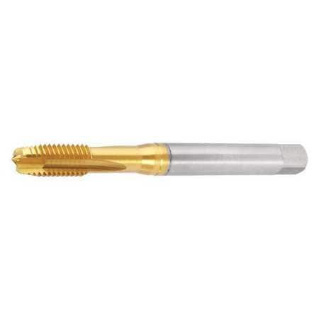 WIDIA GTD GT005003 SPIRAL POINT TAP M5X0.8 HSS-E
