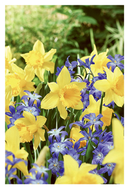 AMERIMAX HOME PRODUCTS 15209 GUTTER SLIP CONNECTOR, MILL FINISH GALVA