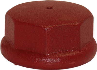 WATER SOURCE LLC DC200 WELL POINT DRIVE CAP, CAST IRON, 2-IN.