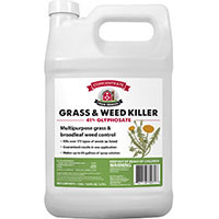 RAGAN AND MASSEY INC 75271 GRASS & WEED KILLER 1 GALLON  