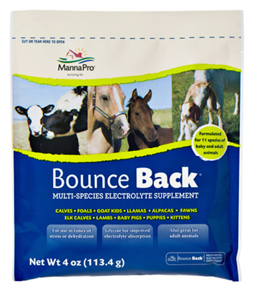 MANNA PRO 1000352 BOUNCE-BACK ELECTROLYTE SUPPLEMENT FOR L
