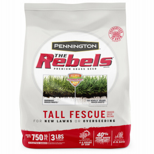 PENNINGTON SEED 100526887 REBEL FESCUE GRASS SEED, 3-LBS.