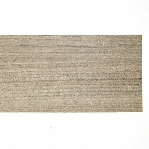 ACROVYN PP60T6161351N DOOR PUSH PLATE 16 L 6 W