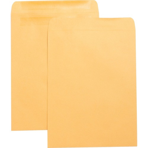 BUSINESS SOURCE 42124 PRESS/SEAL CATALOG ENVELOPES,100/BX BUSINESS SOURCE 42124 PRESS/SEAL CATALOG ENVELOPES,100/BX