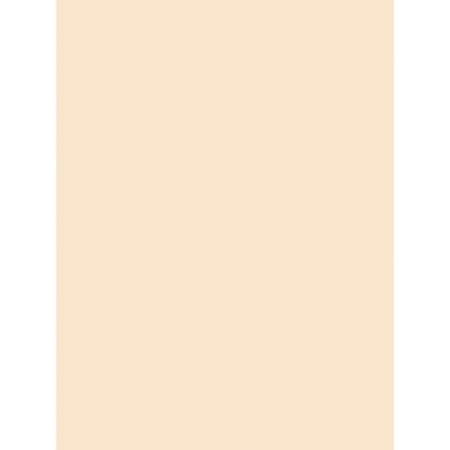 PACON CORPORATION 5190 MANILA TAG MED 18X24