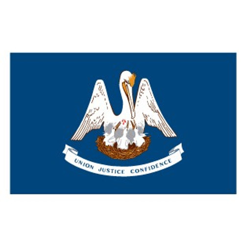 VALLEY FORGE FLAG CO 35232180 SPECTRAMAX 3'X5' NYLON LOUISIANA FLAG