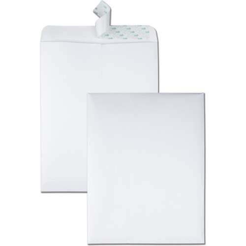 QUALITY PARK 44782 CATALOG ENVELOPE,WHITE,100/BOX QUALITY PARK 44782 CATALOG ENVELOPE,WHITE,100/BOX