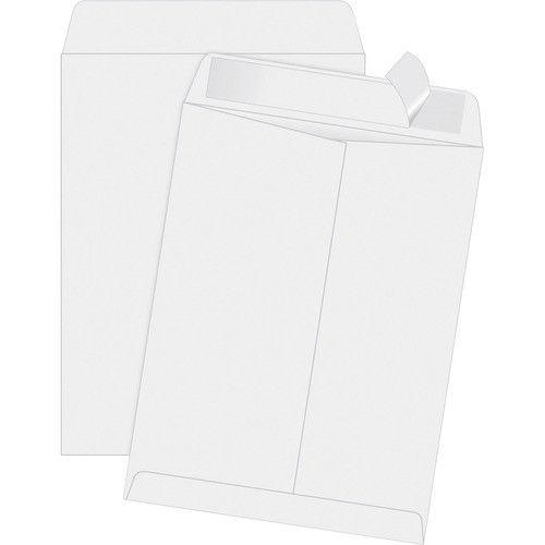 QUALITY PARK 44834 CATALOG ENVELOPE,WHITE,100/BOX QUALITY PARK 44834 CATALOG ENVELOPE,WHITE,100/BOX