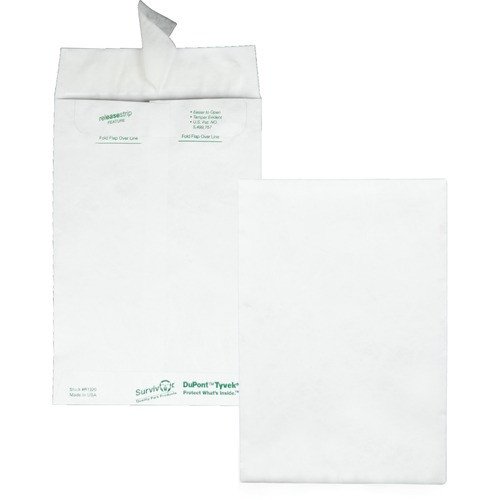 QUALITY PARK R1320 TYVEK OPEN-END ENVELOPE,6X9,100/BX,WHITE