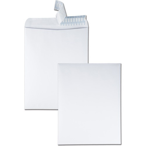 QUALITY PARK 44082 CATALOG ENVELOPE,WHITE,100/BOX