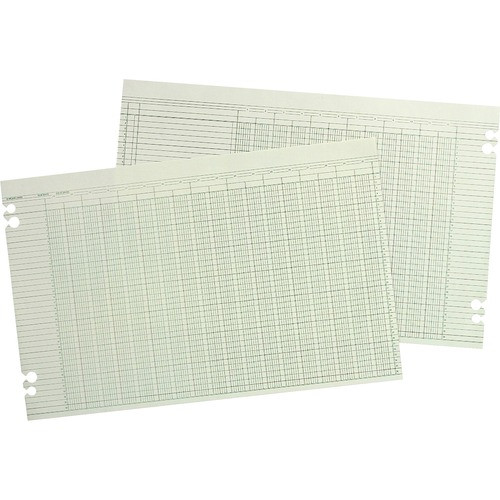 WILSON JONES WG50-30A COLUMNAR RULED SHEETS,100/PK, GREEN