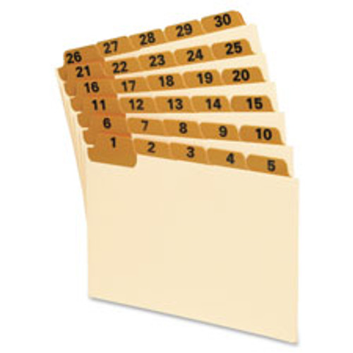 OXFORD 05832 OXFORD  INDEX CARD GUIDES,DAILY,1-31,1/5