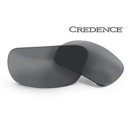 EYE SAFETY SYSTEMS EE9015-01 CREDENCE