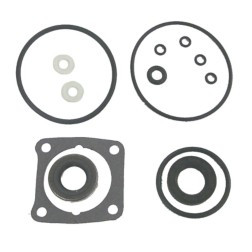 NAPA SMALL ENGINE 182689 SEAL KIT