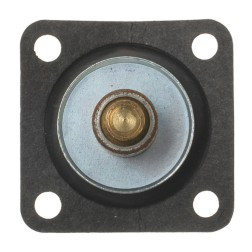 ECHLIN 24256 DIAPHRAGM