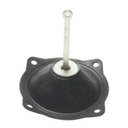 ECHLIN 24480 DIAPHRAGM