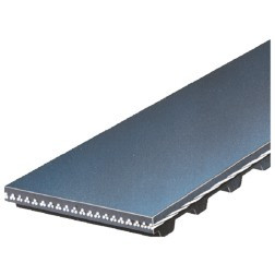 NAPA BELTS & HOSES 250231 TIMING BELT