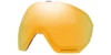 Prizm 24K Iridium - Oakley Flight Path L Replacement Lens