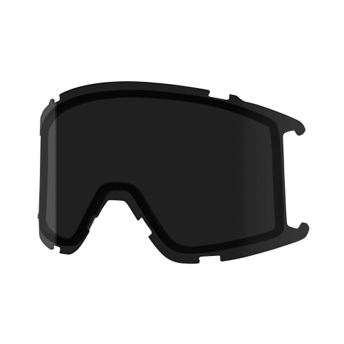 Smith Squad S Replacement Goggle Lenses PROLENS