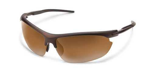 SunCloud Cover Reader Sunglasses - PROLENS