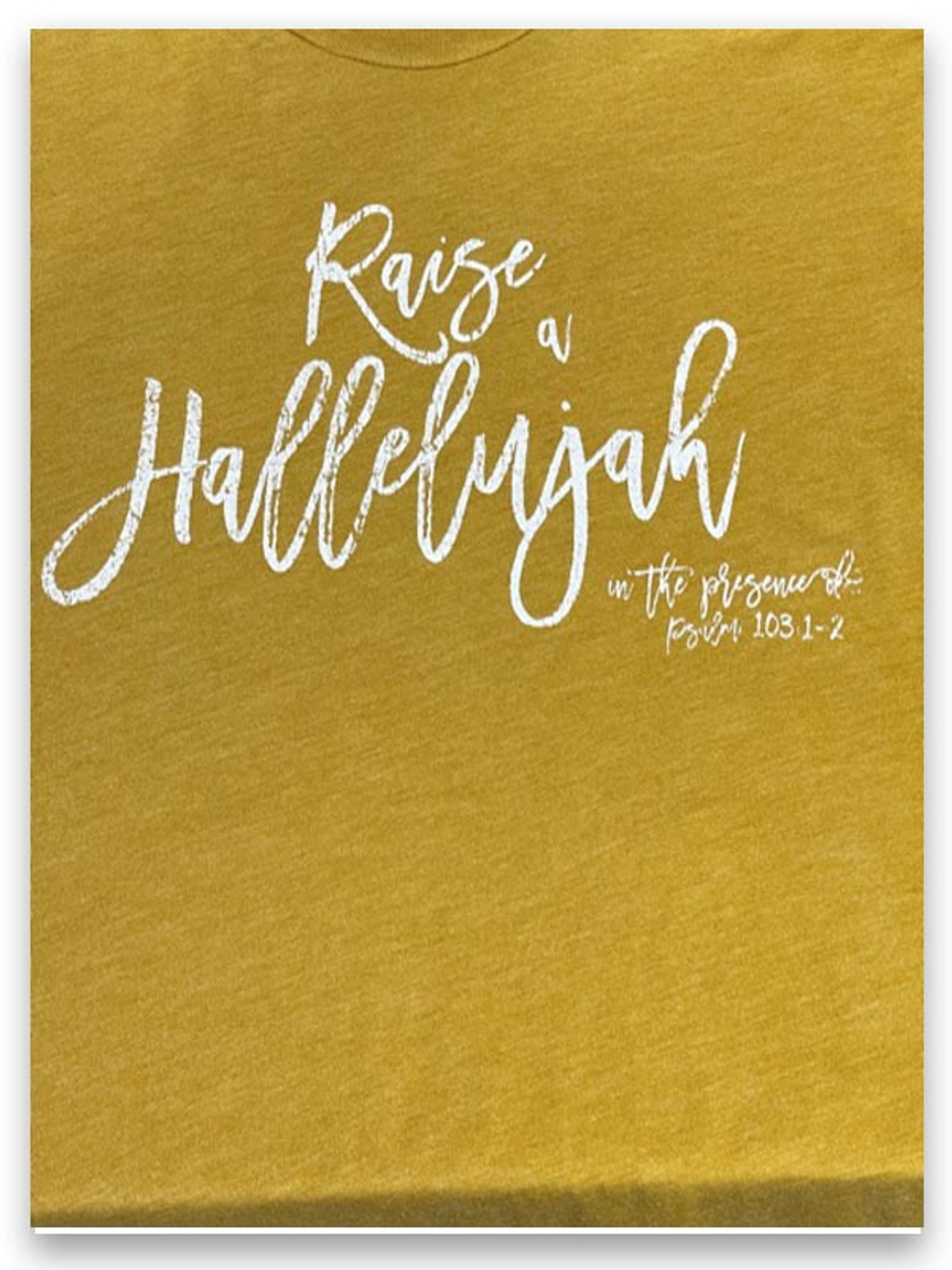 i raise a hallelujah story i raise a hallelujah story