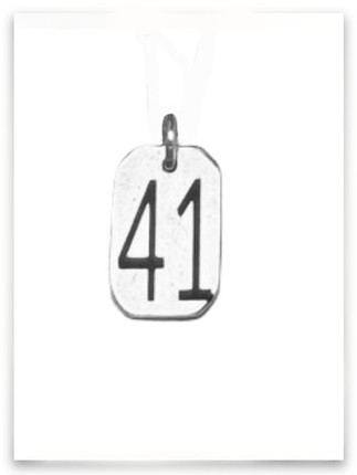 41 Charm 41 Charm