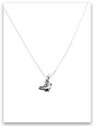 Valuable iTAG Sterling Silver Necklace