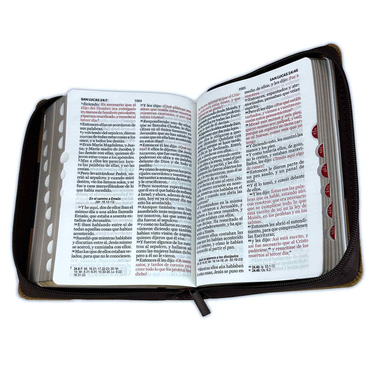 Biblia con Cierre Compacta 11 puntos RV1960 imit bifloral lila con índice