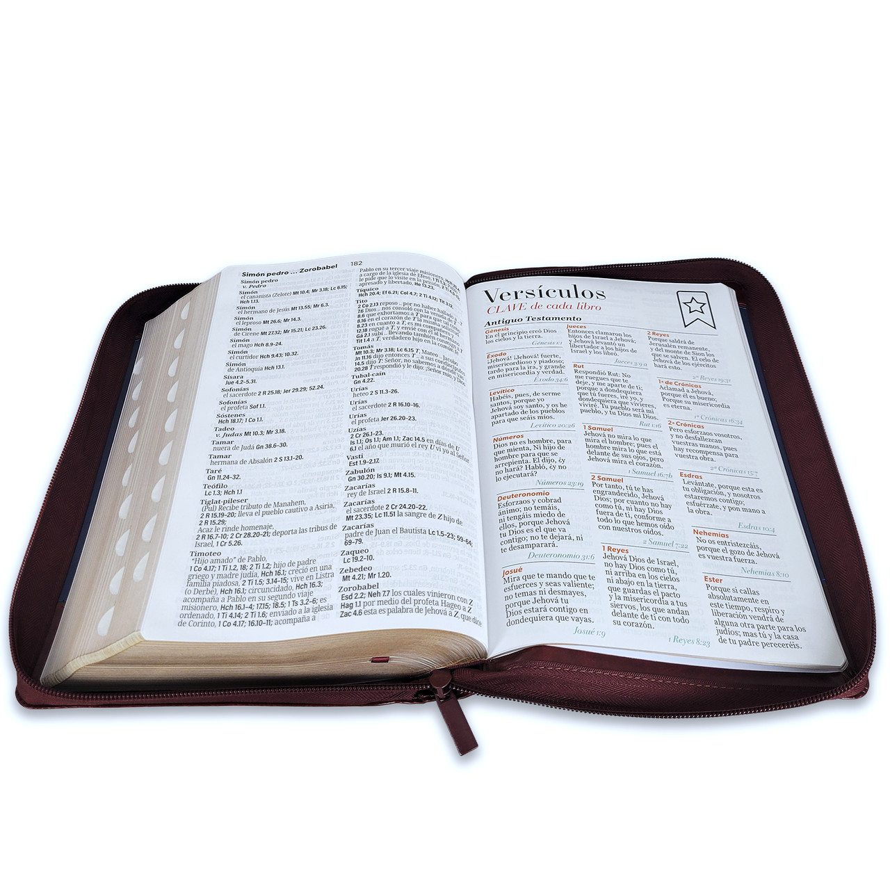 Biblia Letra Gigante Con Cierre RV1960, 9798893842272