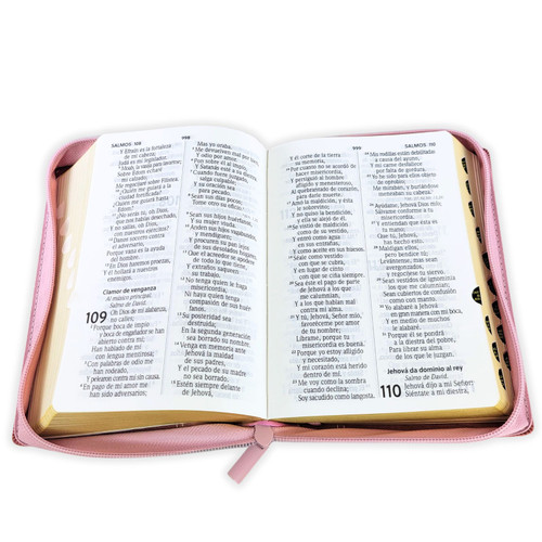 Biblia RVR 1960 Compacta Rosa Oscuro 2 9788418853609 2 09203.1764858011