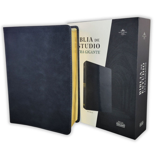 Biblia de Estudio Letra Gigante RV1960, imit piel gris
