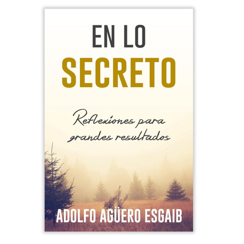 En lo Secreto: Reflexiones para grandes resultados - Adolfo Agüero Esgaib