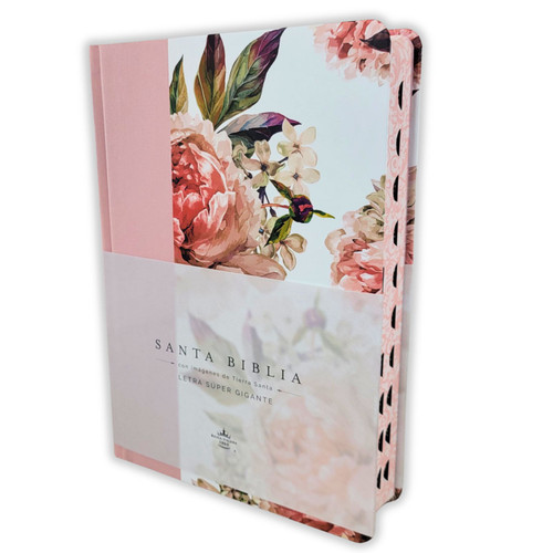 Biblia con Letra Súper Gigante e Imágenes de la Tierra Santa RV1960, tapa dura tela rosa con índice