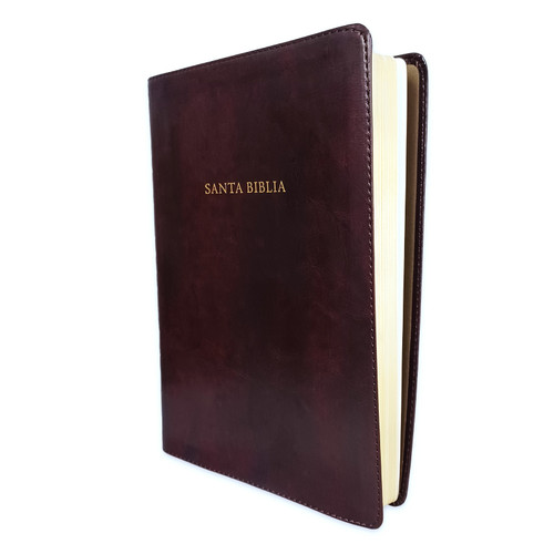 Biblia de Estudio Scofield RV1960, imit. piel, marrón