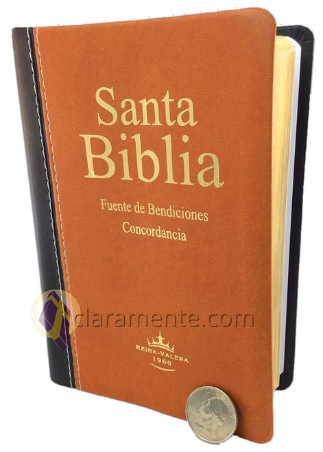 Biblia Fuente de Bendiciones, Compacta RV1960, imit. piel, café y negro Biblia Fuente de Bendiciones, Compacta RV1960, imit. piel, café y negro