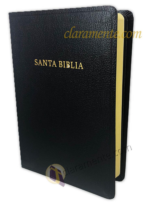 Biblia Letra Grande manual RV1960, imit. piel, negro