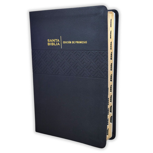 Biblia de Promesas Letra Grande RV1960: imit. piel negro con índice